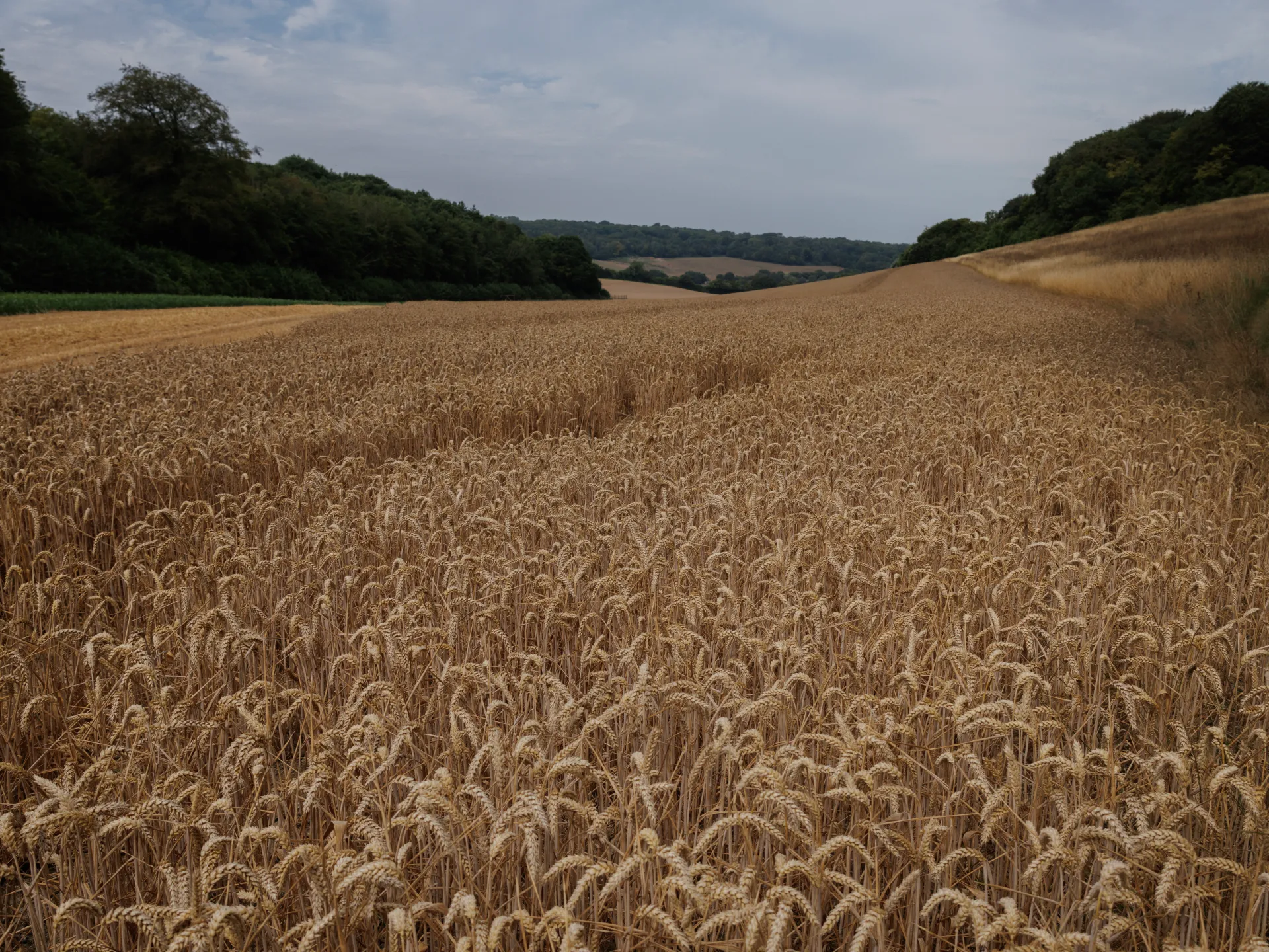 Conflicts and extreme weather pushing global food prices higher, warns UN